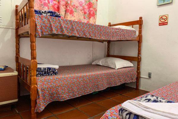 Hotel Pousada Edelweiss Florianópolis Eksteriør billede